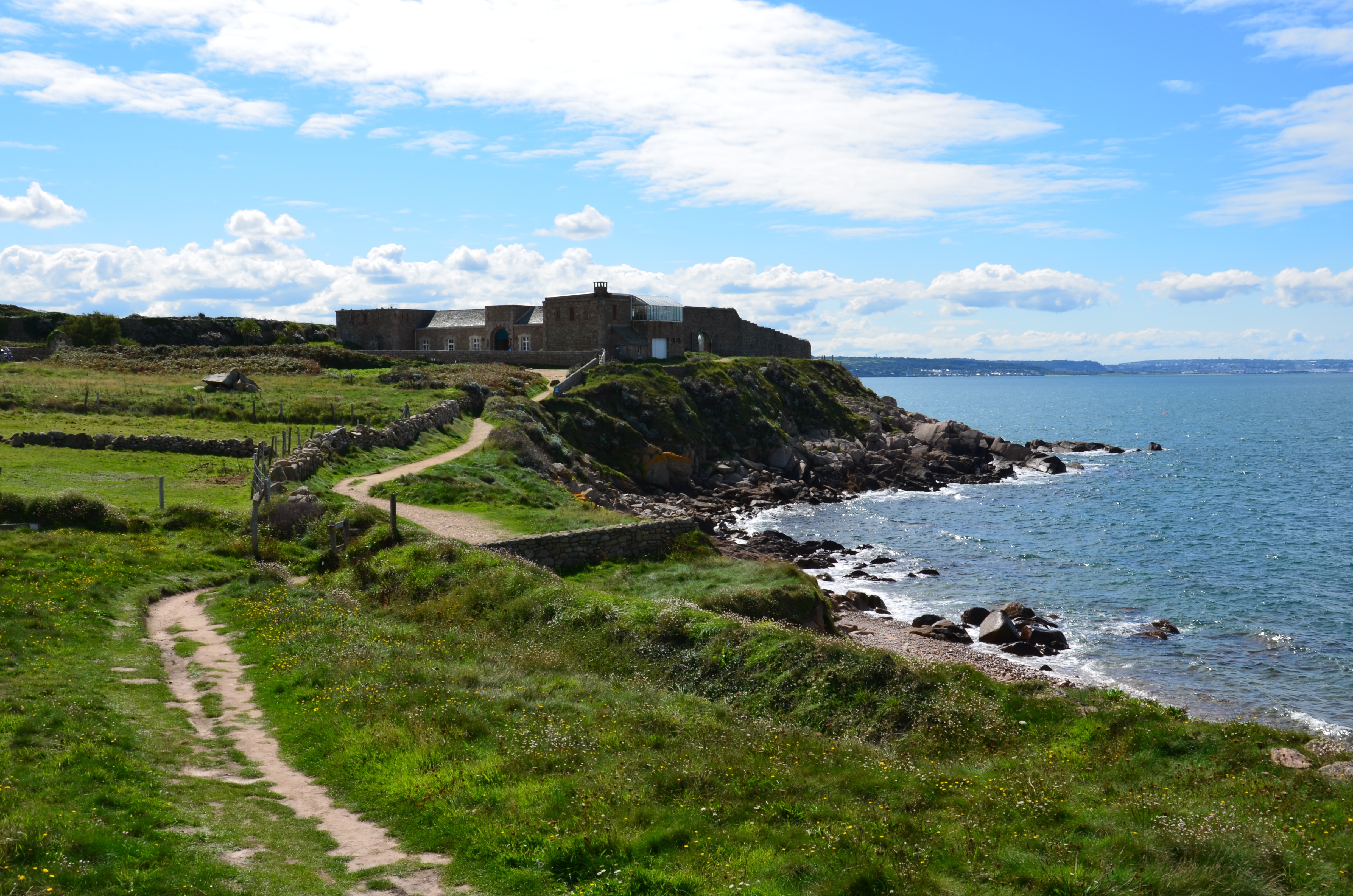 Quel est ce mystérieux aileron qui se balade près des rives du Cotentin ?