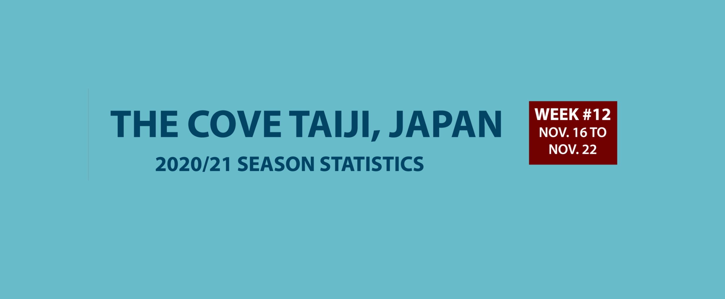 Chasse au dauphin à Taïji (Japon) – Bilan semaine du 16 au 22 novembre 2020 #12