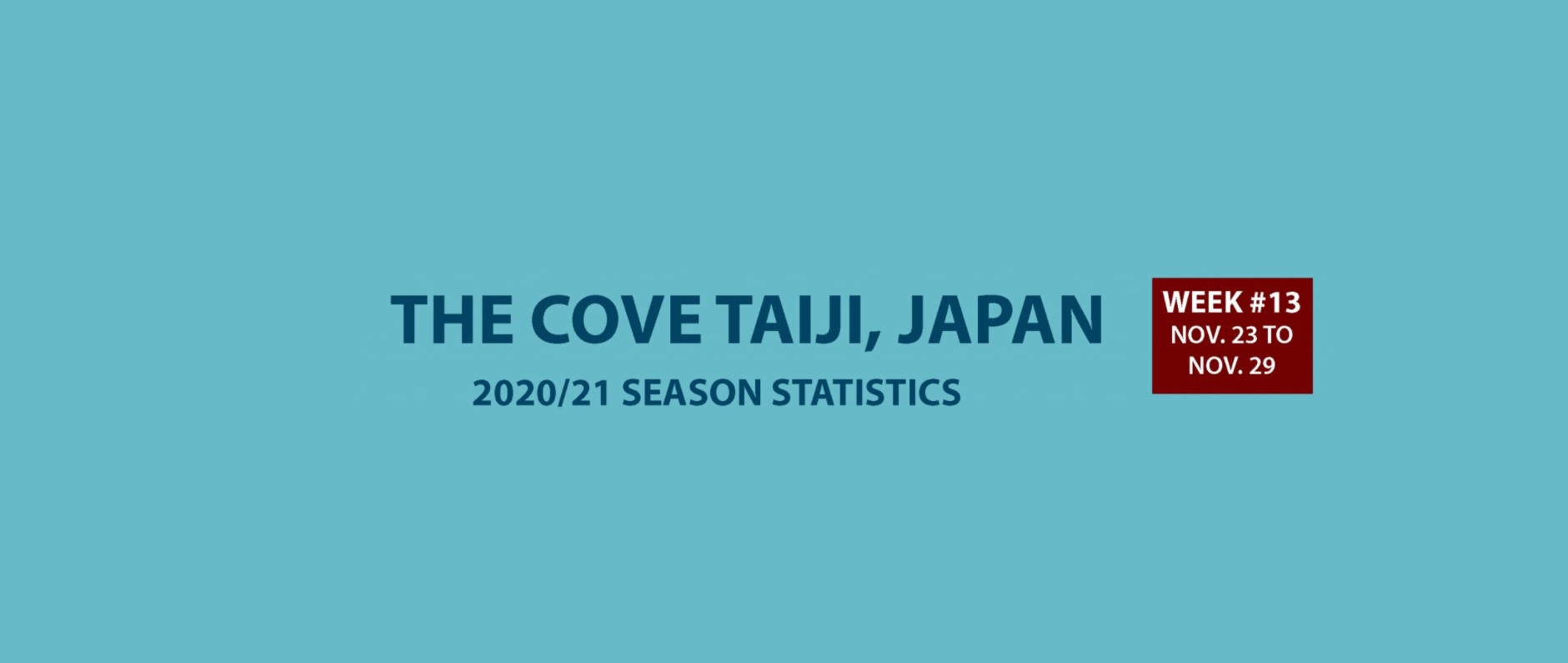 Chasse au dauphin à Taïji (Japon) – Bilan semaine du 23 au 29 novembre 2020 #13
