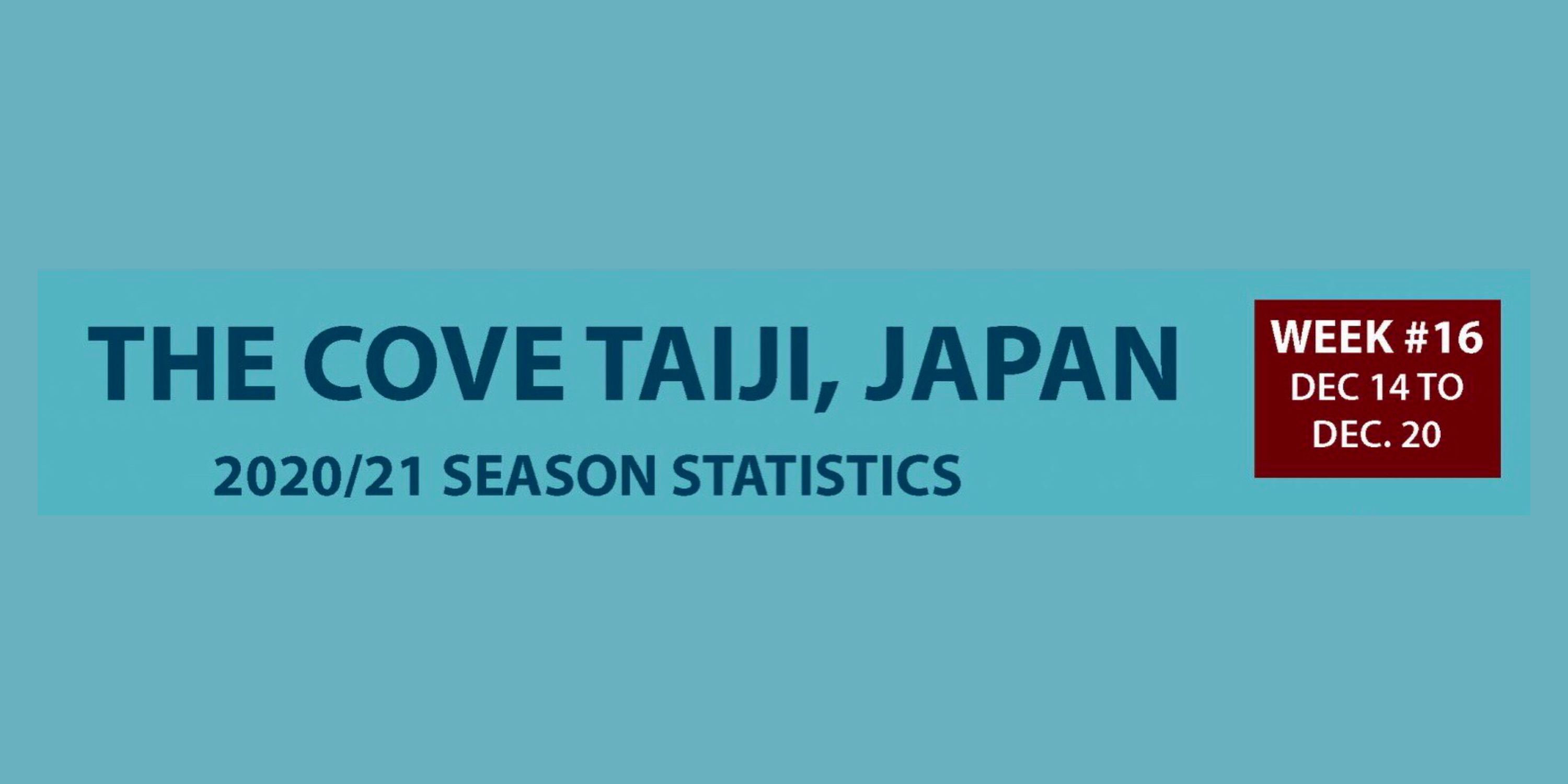 Chasse au dauphin à Taïji (Japon) – Bilan semaine du 14 au 20 décembre 2020 #16