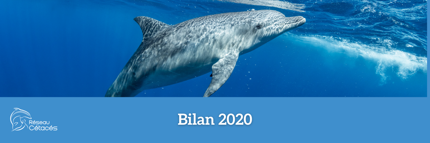 Bilan des actions 2020 & engagements pour 2021