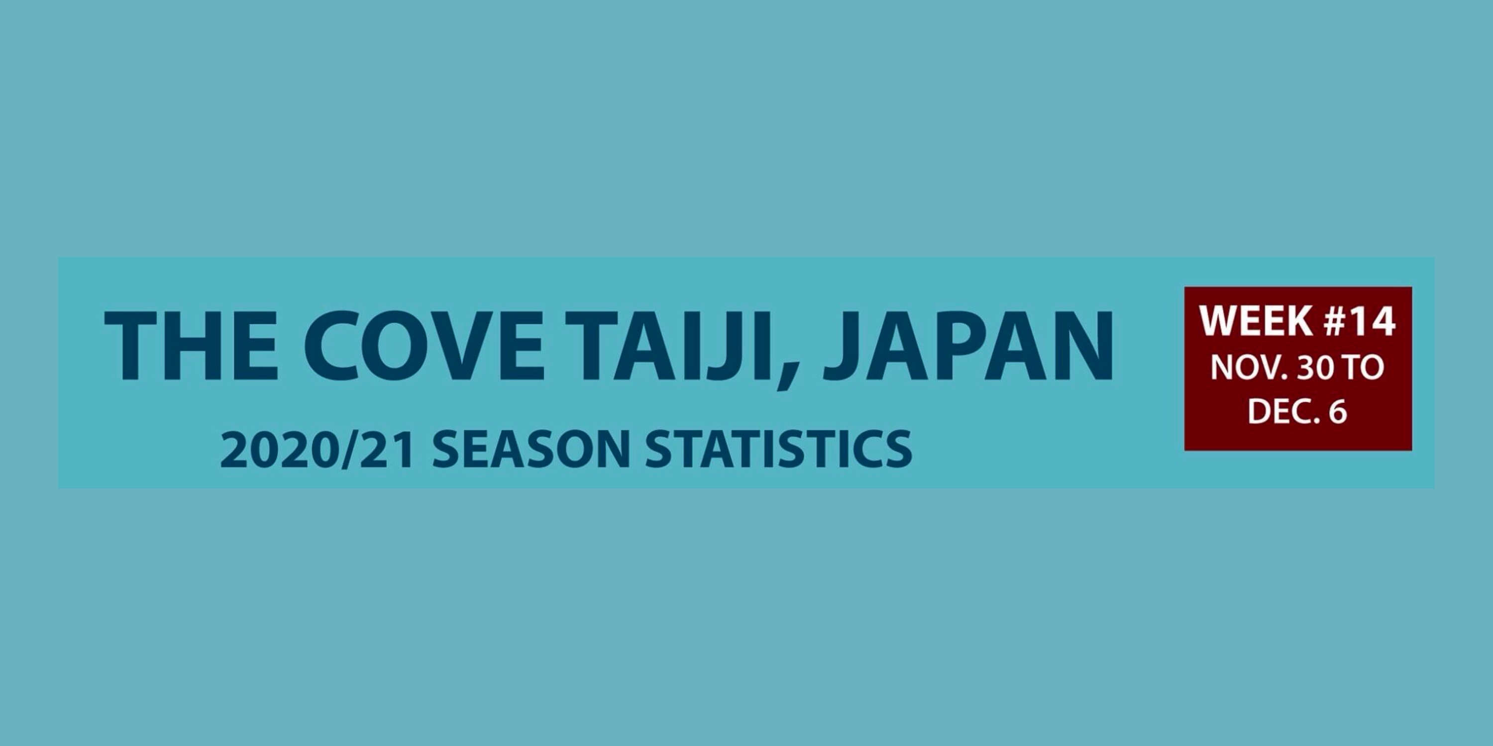 Chasse au dauphin à Taïji (Japon) – Bilan semaine du 30 novembre au 6 décembre 2020 #14