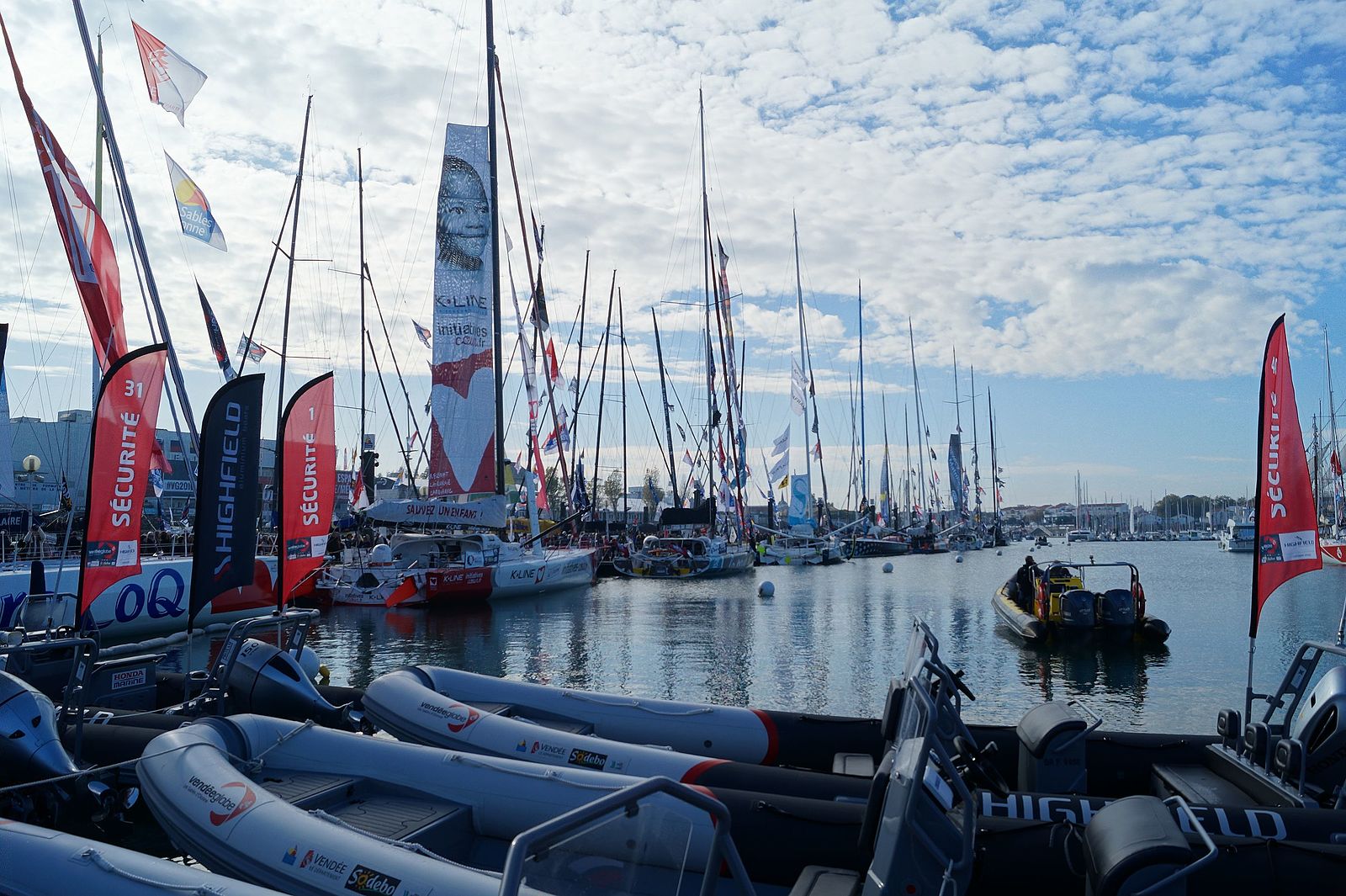 Vendée Globe : « Nous ne voulons pas passer pour des tueurs de baleines »