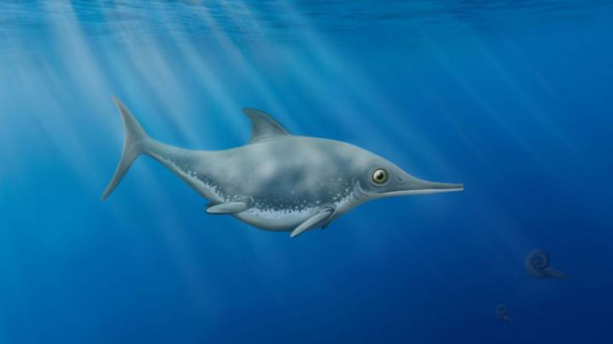 Cet ancien reptile s’apparentait à un improbable croisement entre un dauphin et un requin