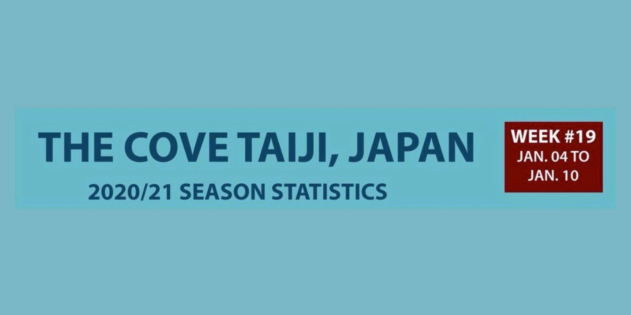 Chasse au dauphin à Taïji (Japon) – Bilan semaine du 4 au 10 janvier 2021 #19