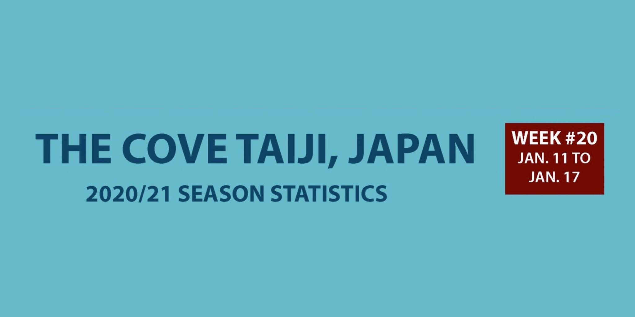 Chasse au dauphin à Taïji (Japon) – Bilan semaine du 11 au 17 janvier 2021 #20