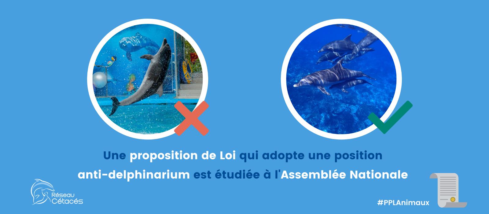 Proposition de loi pour les animaux #PPLAnimaux