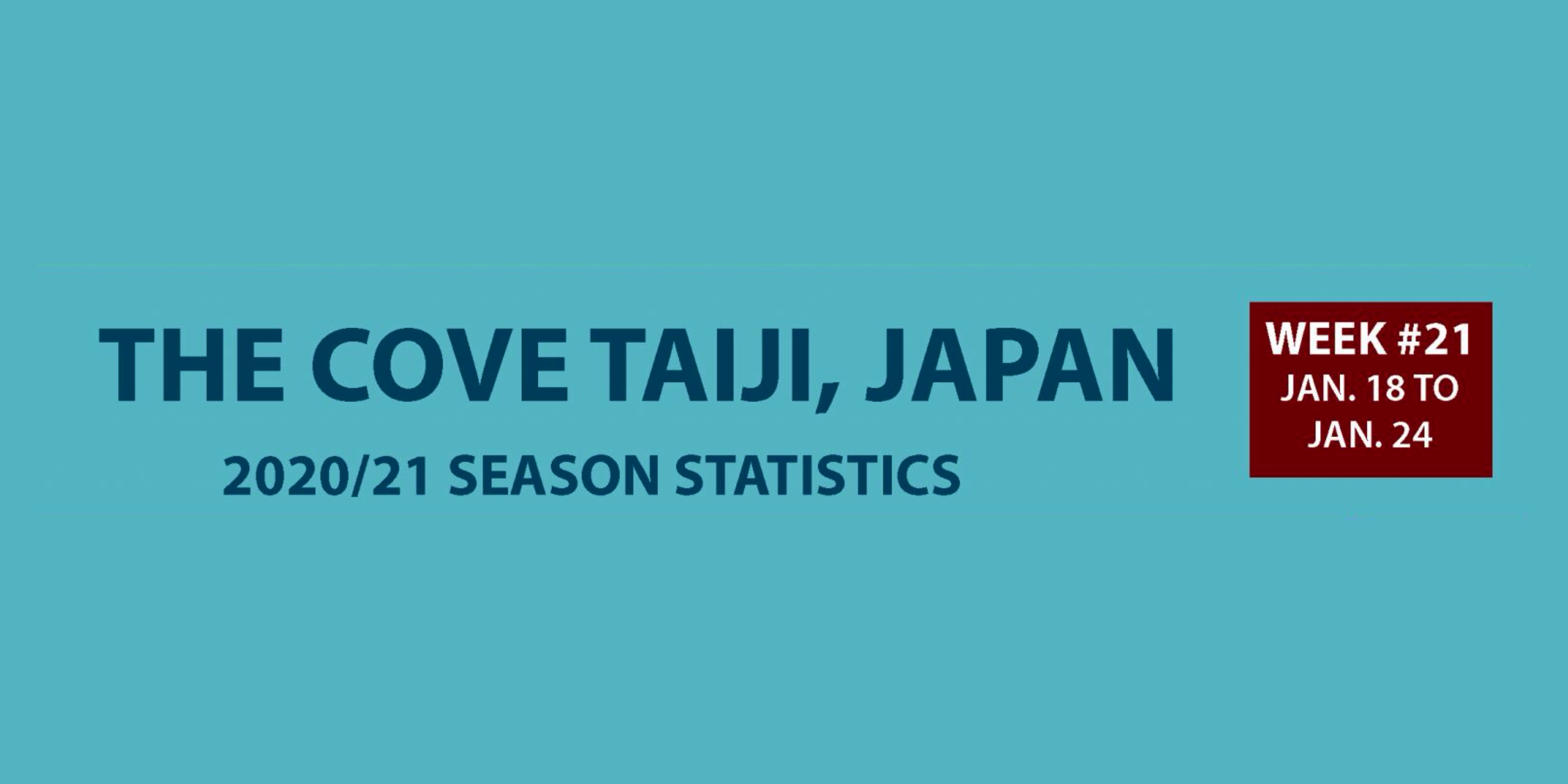 Chasse au dauphin à Taïji (Japon) – Bilan semaine du 18 au 24 janvier 2021 #21