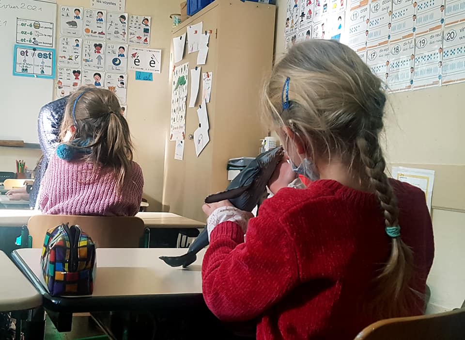 Intervention à l’école Massillon, Paris (4ème) ~ Le 11 février 2021