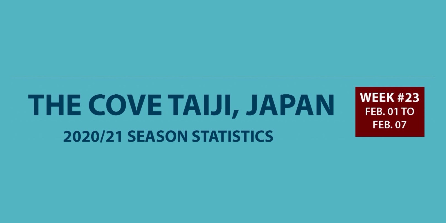 Chasse au dauphin à Taïji (Japon) – Bilan semaine du 1 au 7 février 2021 #23