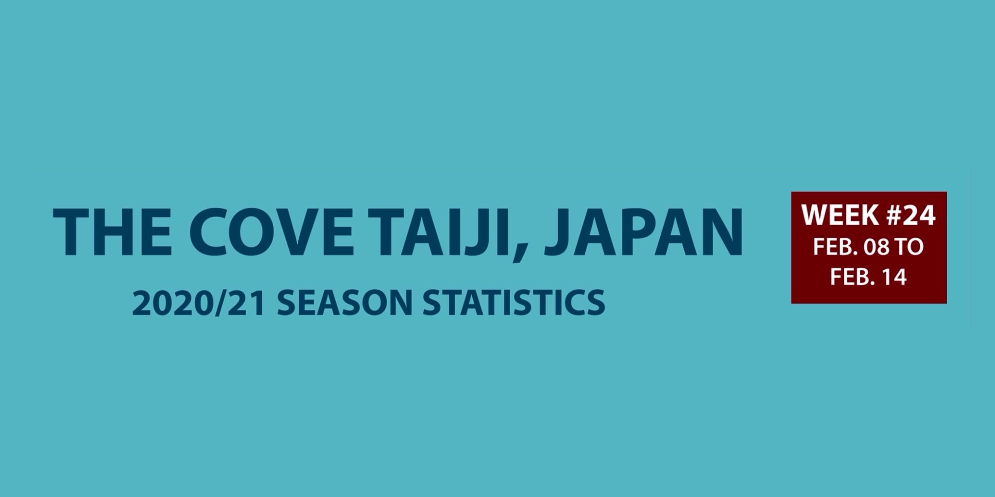 Chasse au dauphin à Taïji (Japon) – Bilan semaine du 8 au 14 février 2021 #24