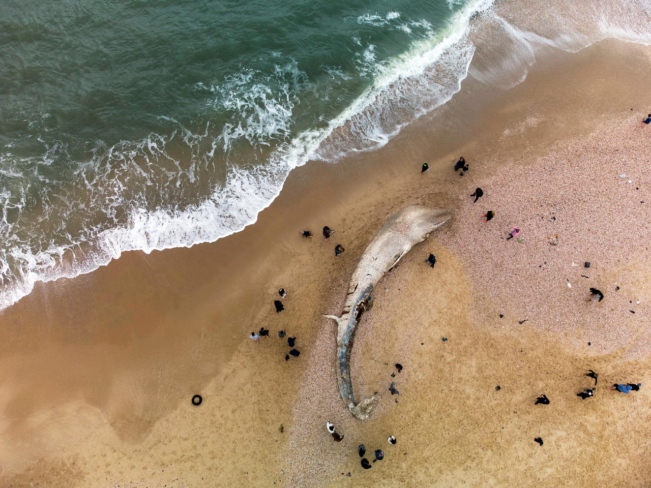Israël frappé par la “pire marée noire de ces dernières décennies”