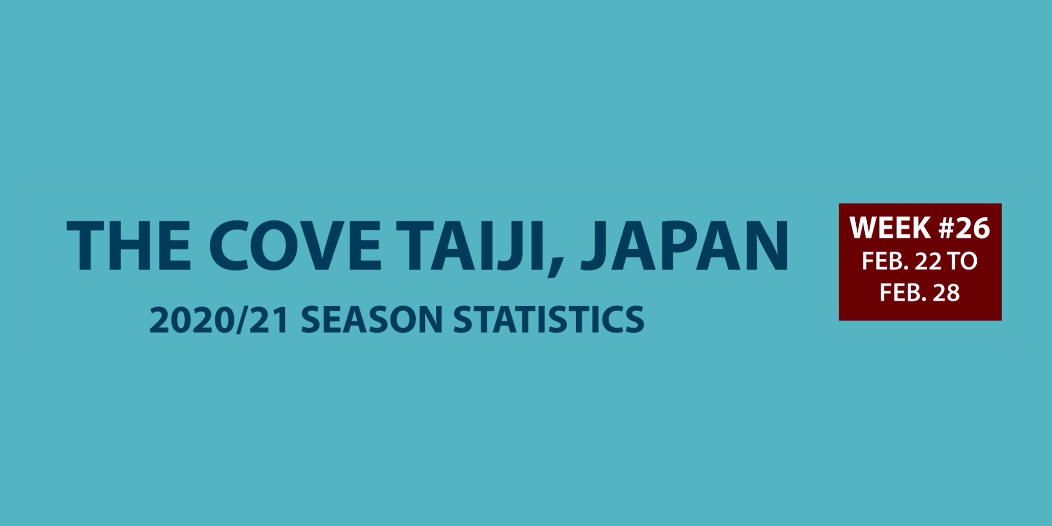 Chasse au dauphin à Taïji (Japon) – Bilan semaine du 22 au 28 février 2021 #26