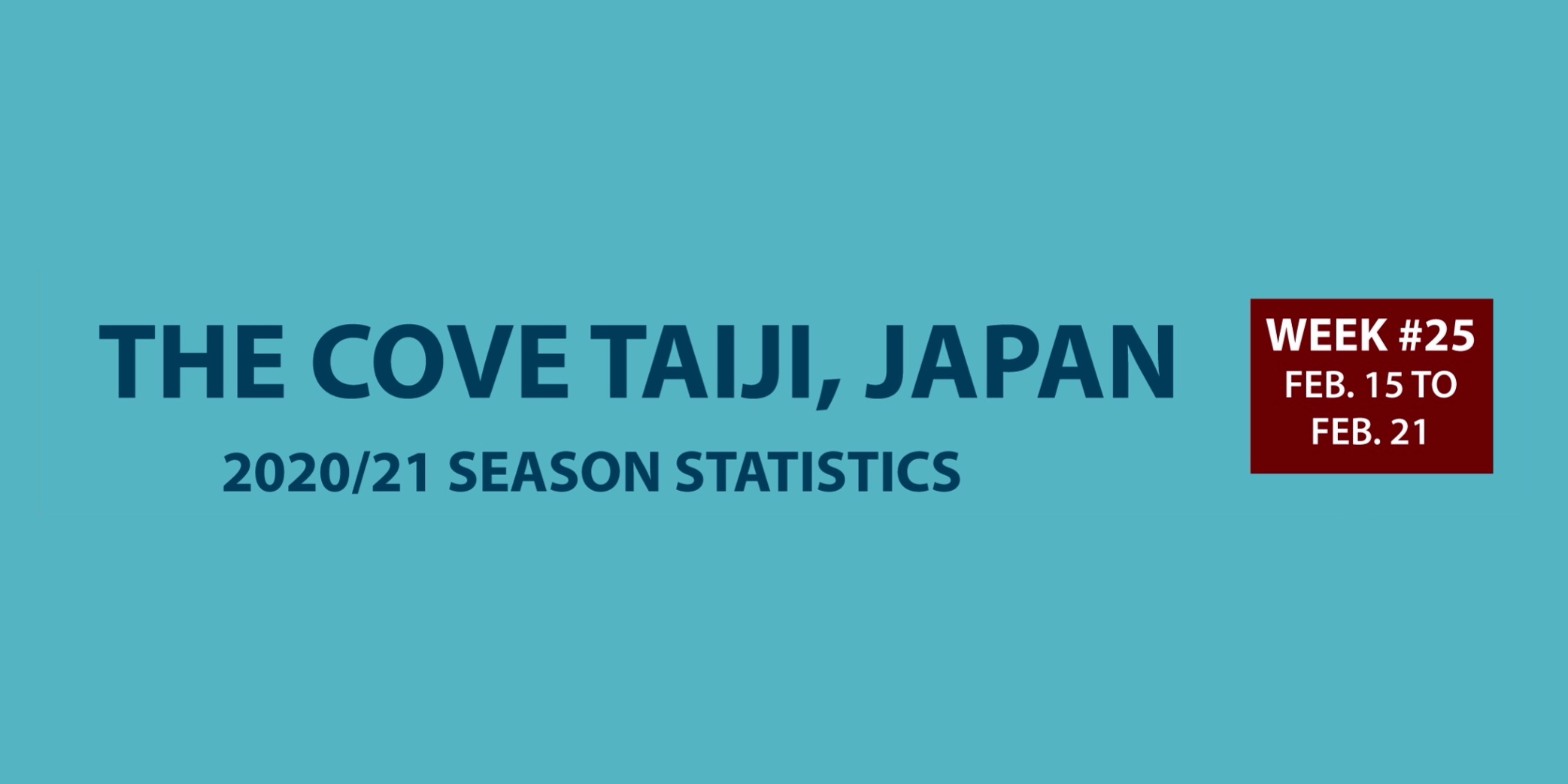 Chasse au dauphin à Taïji (Japon) – Bilan semaine du 15 au 21 février 2021 #25