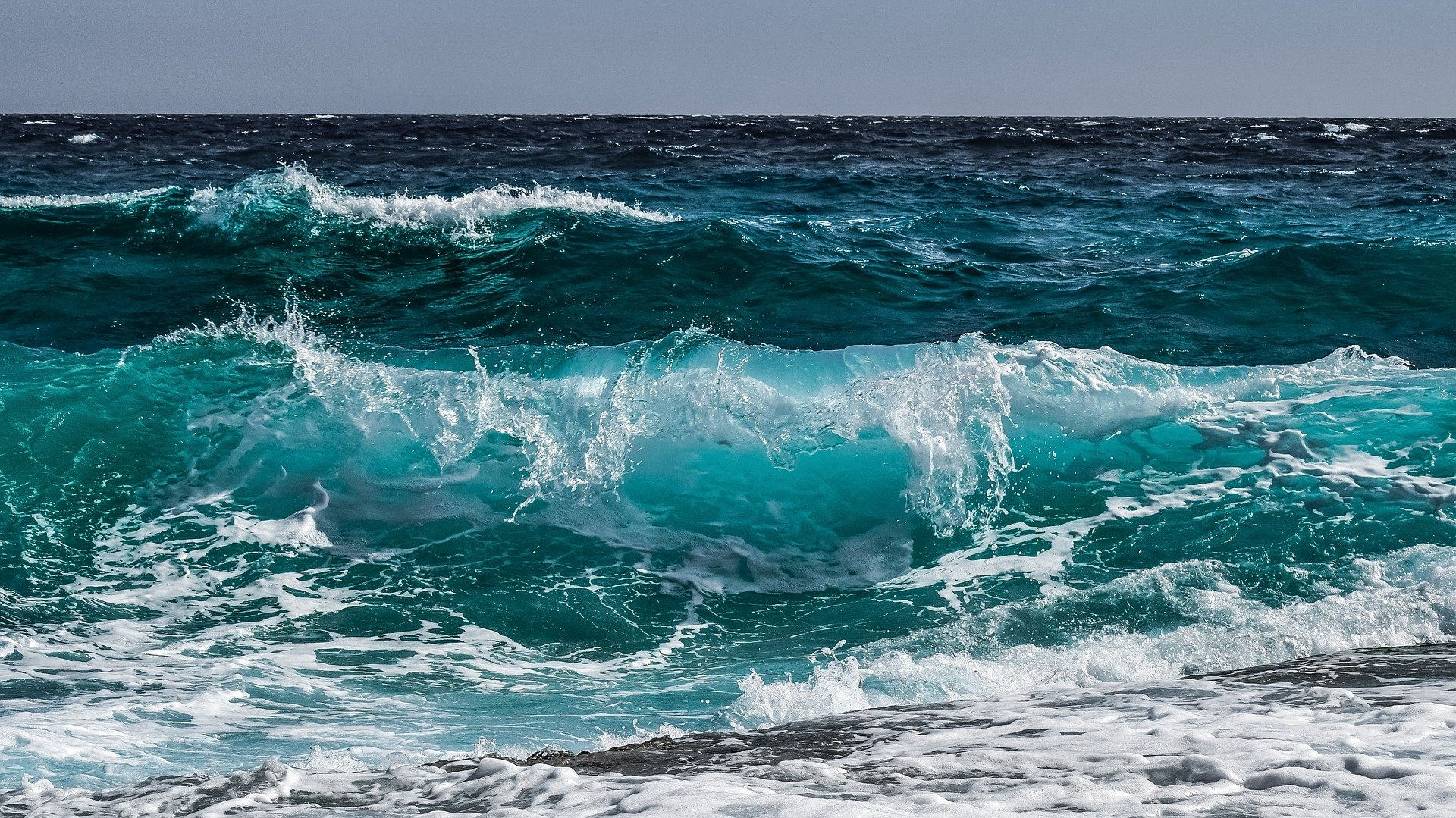 L’Office français de la biodiversité et l’Ifremer coopèrent pour la protection de la biodiversité marine