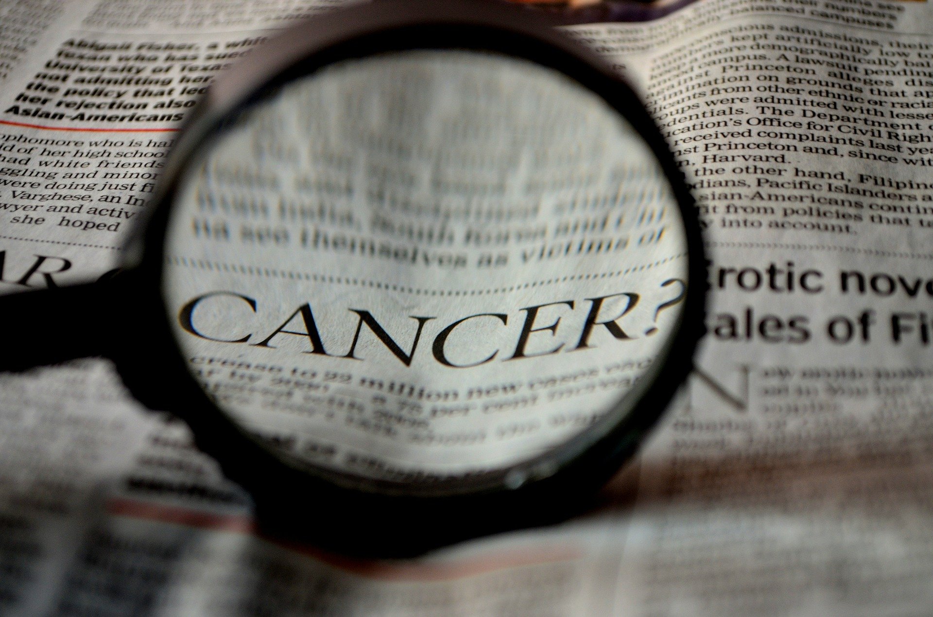 De nouveaux indices expliquent pourquoi les cétacés résistent mieux au cancer