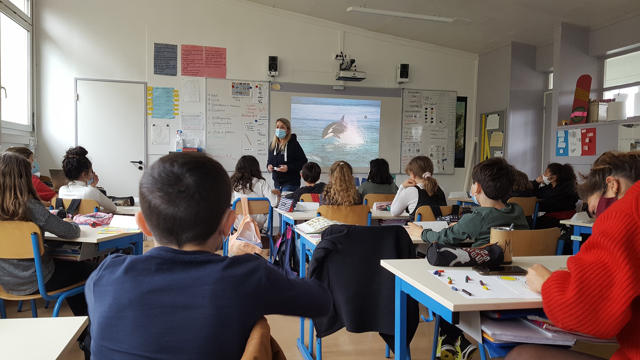 Intervention à l’école Jean Moulin, Montesson (78) ~ Le 20 mai 2021