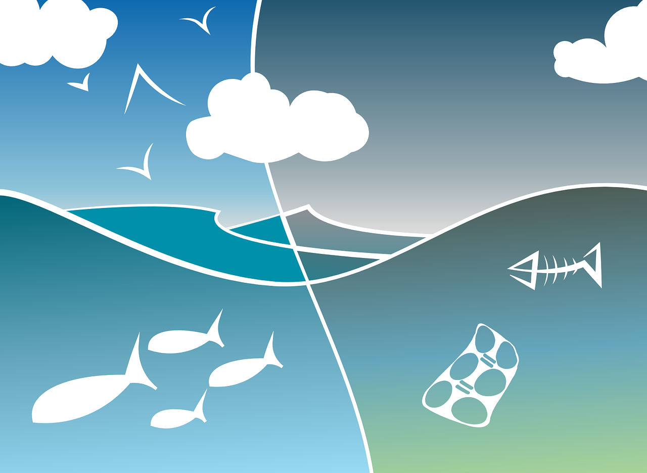 Dossier spécial Zitellina : pollution et espèces marines