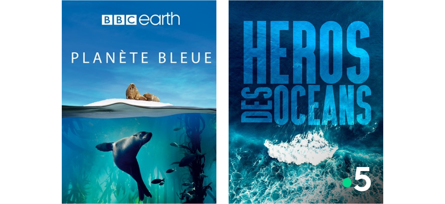 “Science grand format” : programmation spéciale jeudi 10 juin sur France 5 pour la journée mondiale de l’océan
