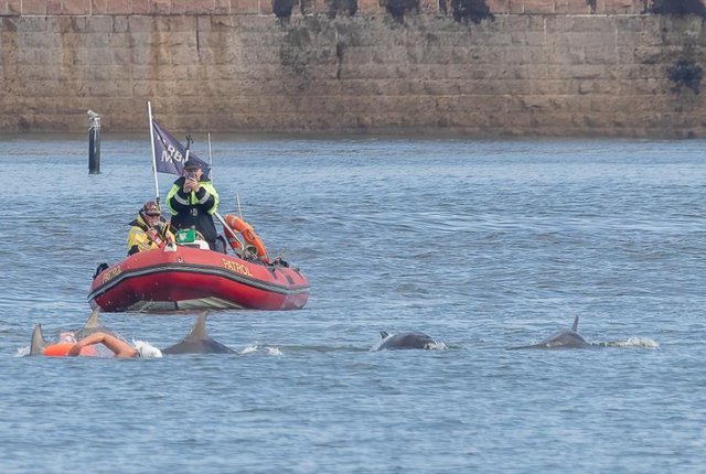 Sunderland ~ L’incroyable cliché de dauphins rejoignant une nageuse en plein entraînement