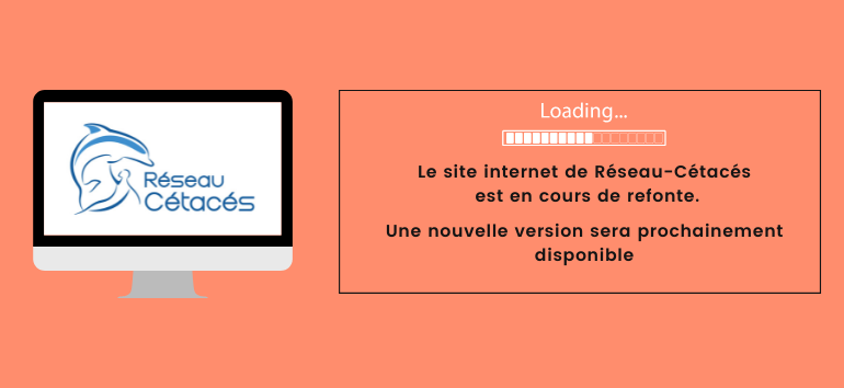 Site en maintenance