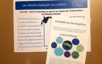 Intervention à l’école Pina Baush, Saint-Denis (93) ~ Le 6 décembre 2021