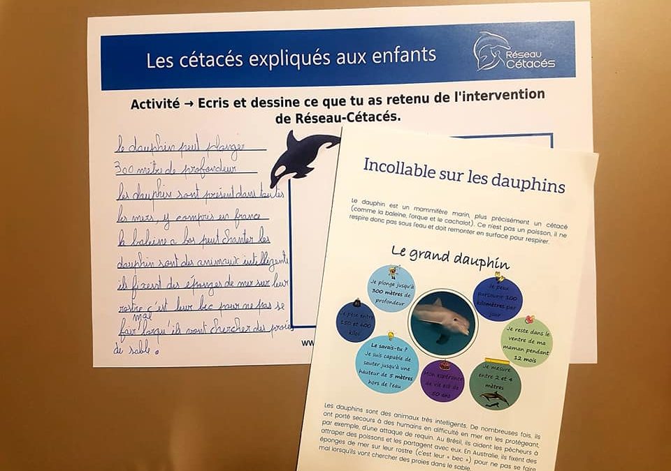 Intervention à l’école Pina Baush, Saint-Denis (93) ~ Le 6 décembre 2021