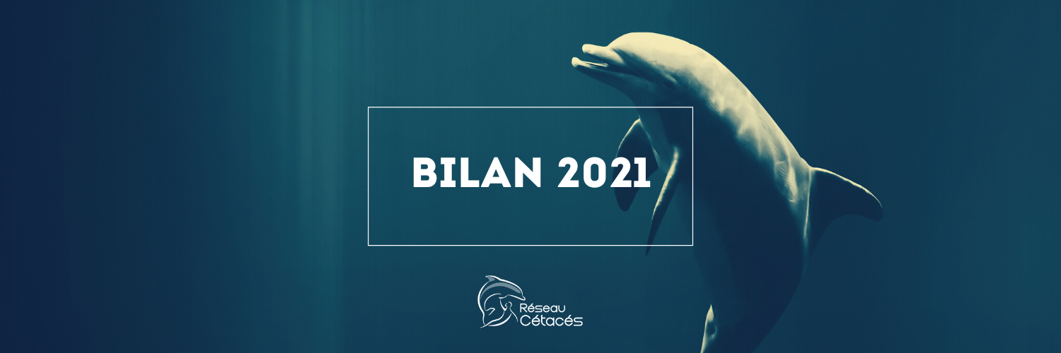 Bilan des actions 2021 & engagements pour 2022
