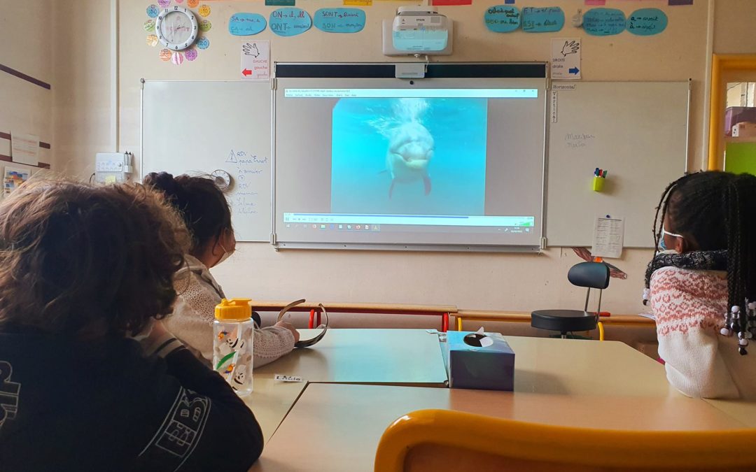 Intervention à l’école Gustave Rouanet, Paris ~ Le 3 février 2022