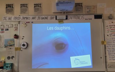 Intervention à l’école Gustave Rouanet, Paris ~ Le 4 avril 2022