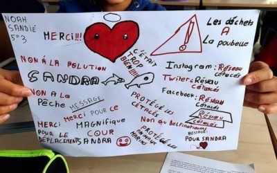 Interventions au collège Paul-Emile Victor, Agde (34) ~ Les 31 mars & 1er avril 2022