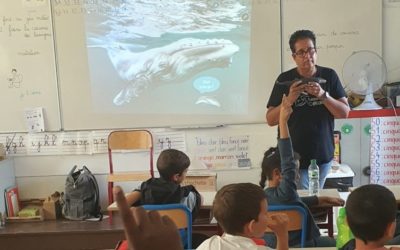 Intervention à l’école Jean Moulin, Montesson (78) ~ Le 9 juin 2022