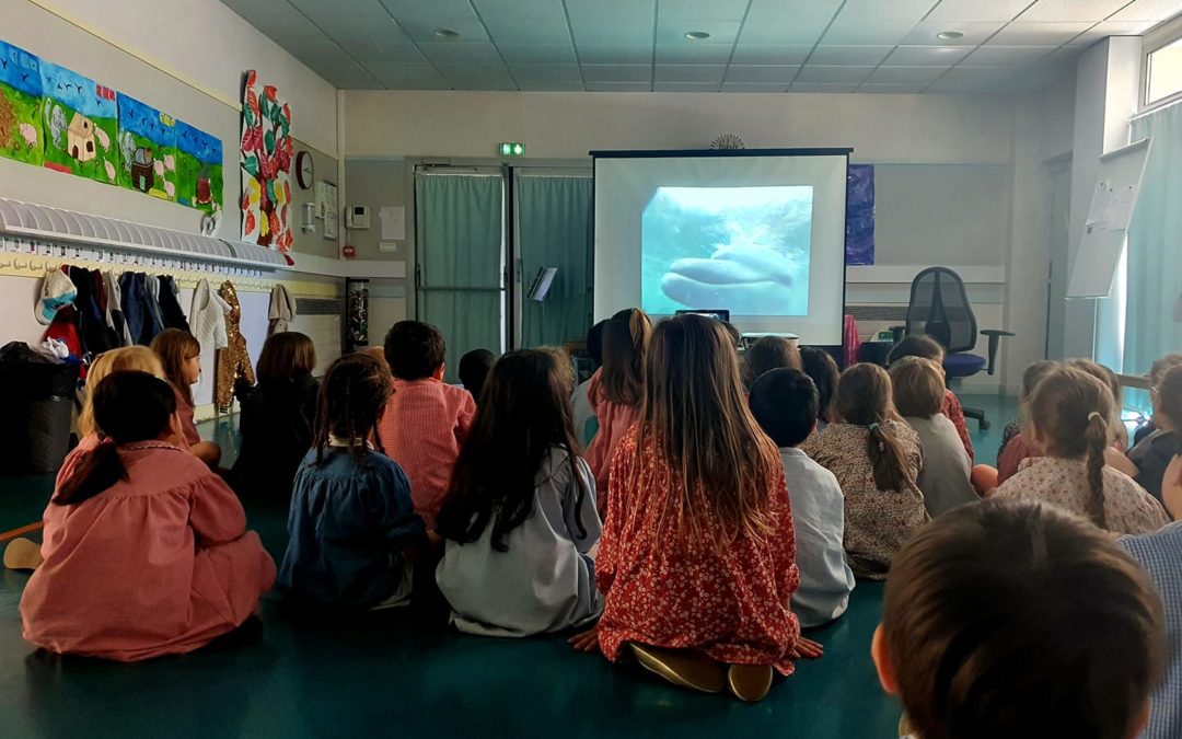 Intervention à l’école maternelle Saint-Pierre Saint-Paul, Courbevoie (92) ~ Le 13 juin 2022