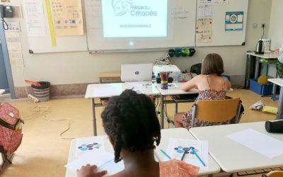 Intervention à l’école élémentaire Küss, Paris ~ Le 4 juillet 2022