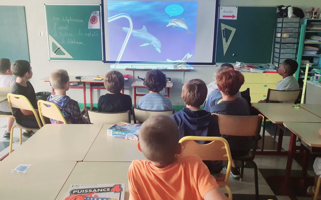 Intervention à l’école élémentaire Jean Monnet, Tôtes (76) ~ Le 7 juillet 2022