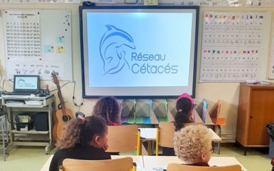 Intervention à l’école du Verger, Dammartin-en-Goële (77) ~ Le 7 novembre 2022