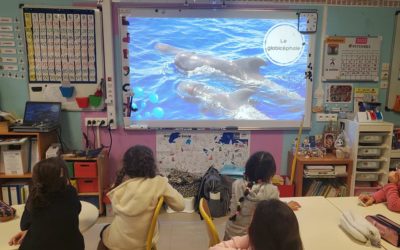 Intervention à l’école Charles de Foucauld, Paris ~ Le 5 décembre 2022