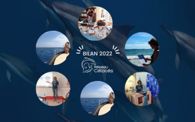 Bilan des actions 2022 & engagements pour 2023