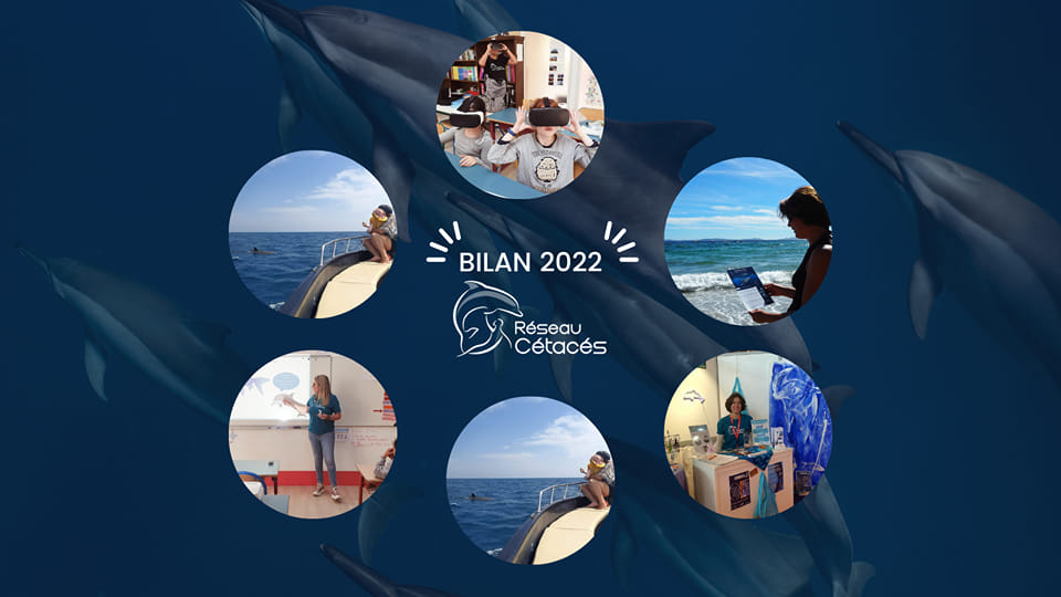 Bilan des actions 2022 & engagements pour 2023