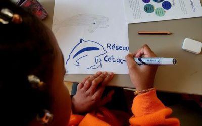 Intervention à l’école Pina Bausch, Saint-Denis (93) ~ Le 23 janvier 2023