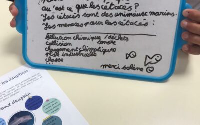 Intervention à l’école Plan de Clavel, Pélissanne (13) ~ Le 2 juin 2023