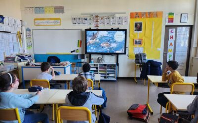 Intervention à l’école Anatole France, Plessis Robinson (92) ~ Le 3 avril 2023