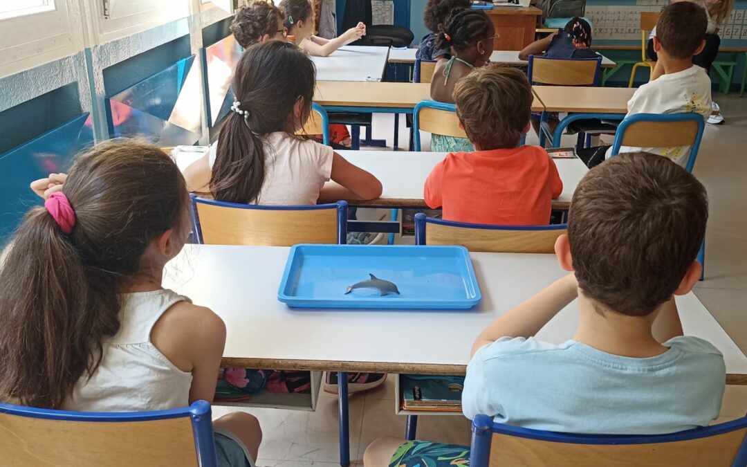 Intervention à l’école Charles de Foucauld, Paris ~ Le 8 juin 2023