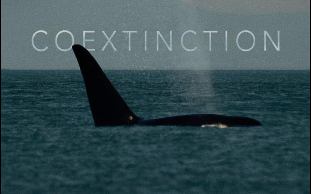 Coextinction