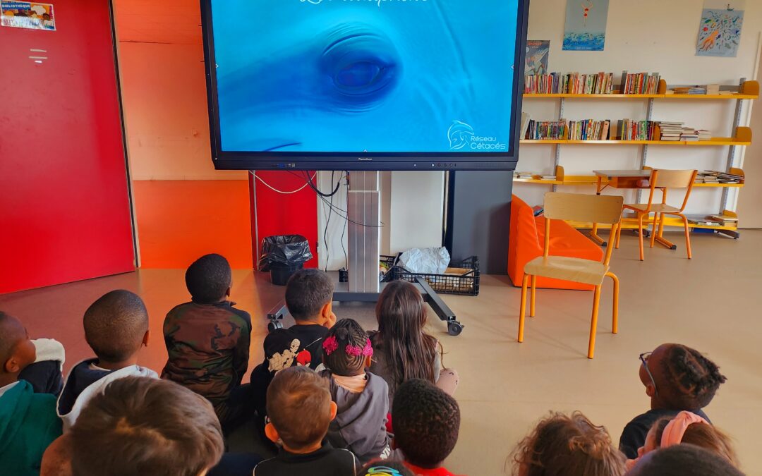 Intervention à l’école Pina Baush, Saint-Denis (93) ~ Le 16 Octobre 2023