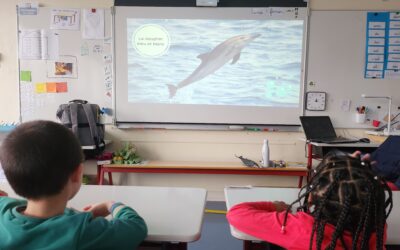 Intervention à l’école la Salle Notre-Dame de la Gare, Paris ~ Le 5 février 2024