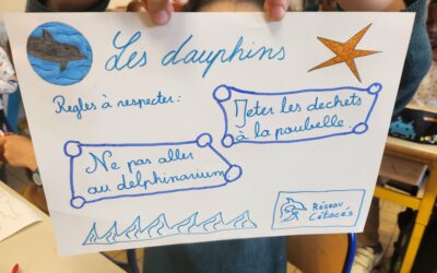 Intervention à l’école La Salle Notre-Dame de la Gare, Paris ~ Le 6 mai 2024