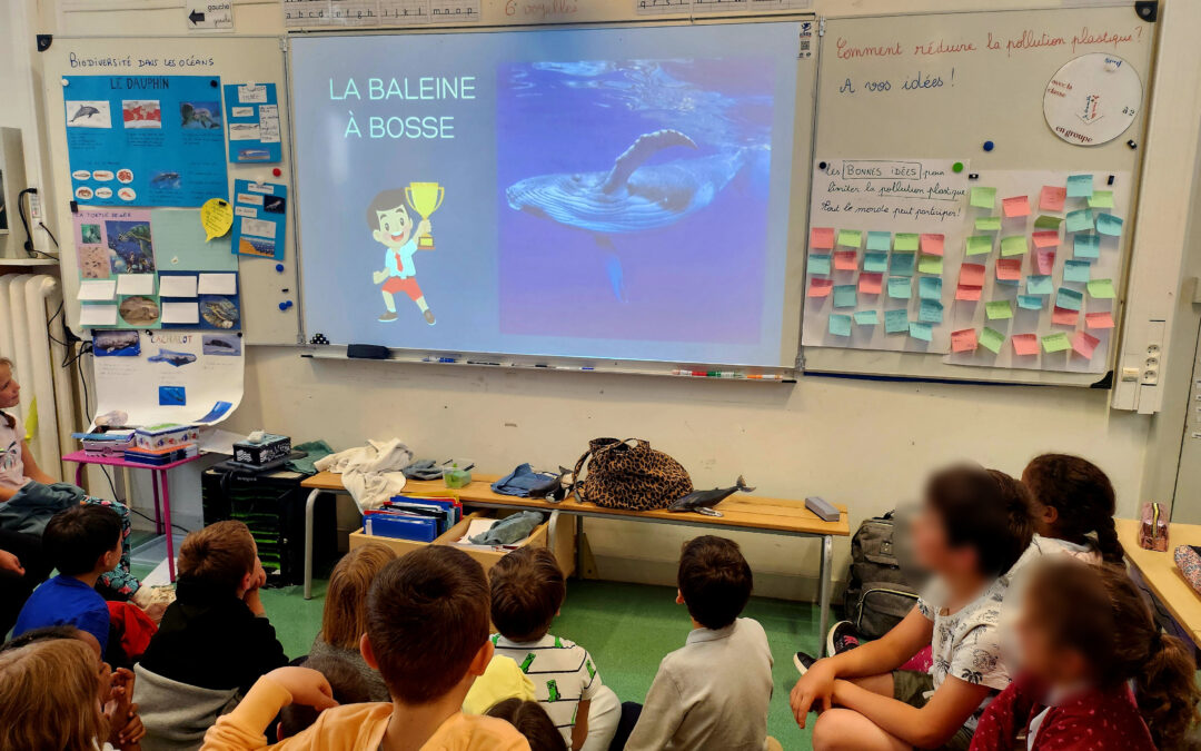 Intervention à l’école des Rochers, Clamart (92) ~ Le 10 juin 2024