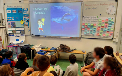 Intervention à l’école des Rochers, Clamart (92) ~ Le 10 juin 2024