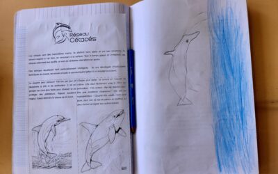 Intervention à l’école des Rochers, Clamart (92) ~ Le 17 juin 2024